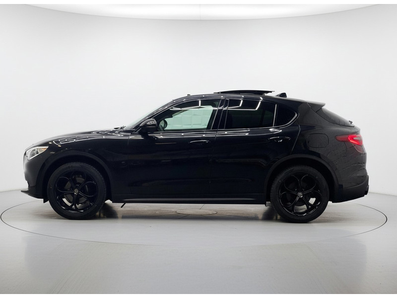 38351243-3.jpg