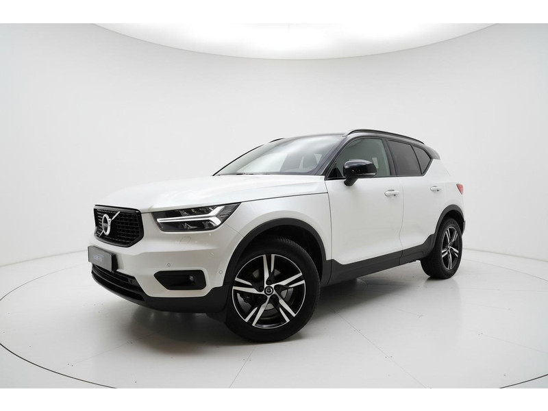 51313135-0.jpg
