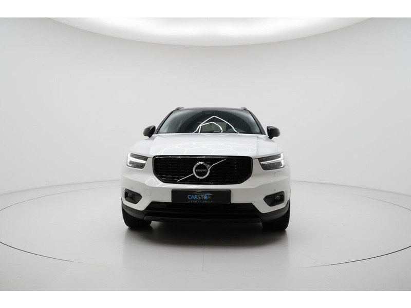 51313135-1.jpg