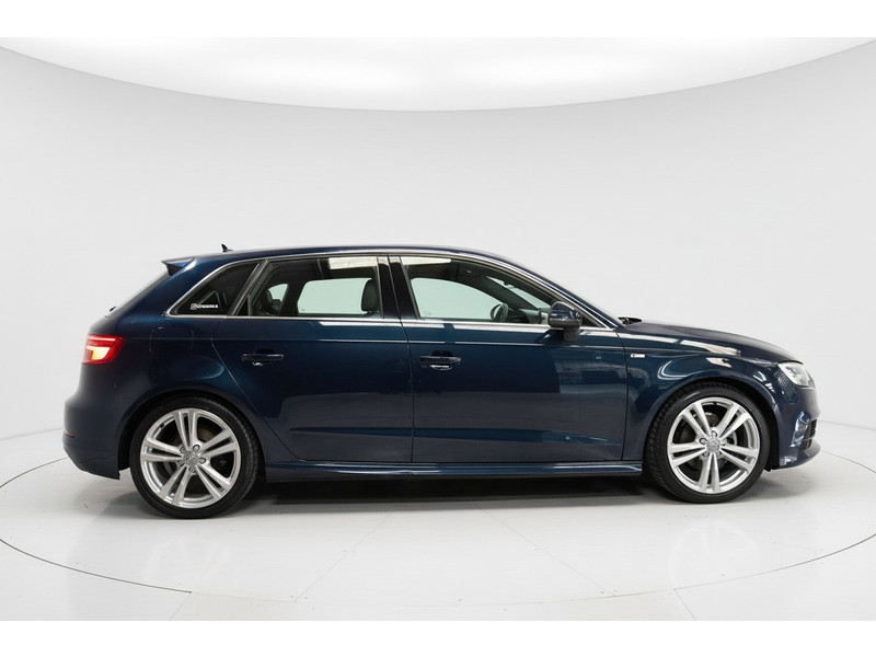 52063795-3.jpg