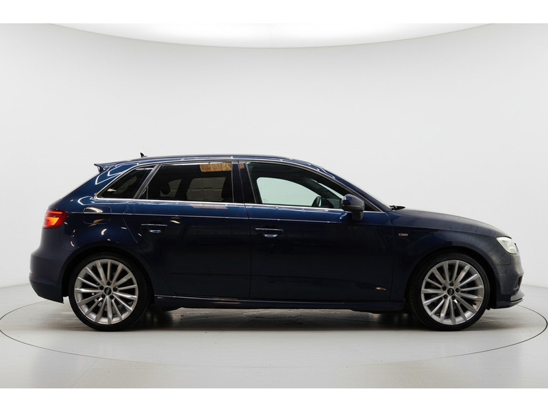 52729871-4.jpg
