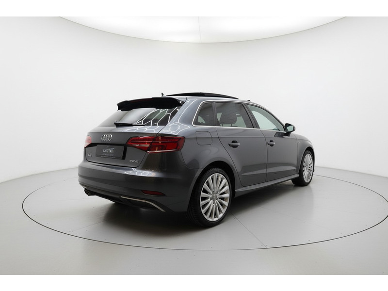 54080065-5.jpg