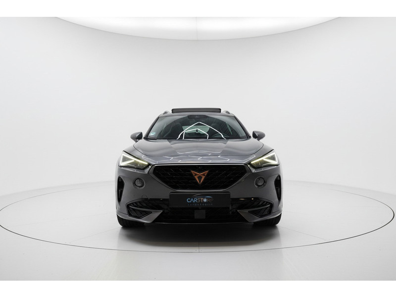 54597591-1.jpg