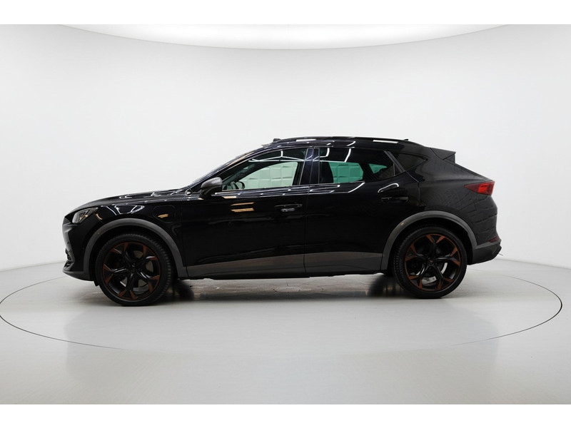 54932919-4.jpg