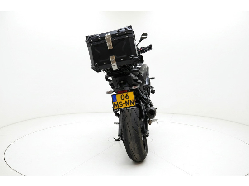 56383293-4.jpg
