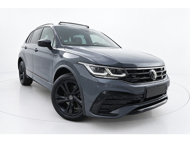 57197481-2.jpg